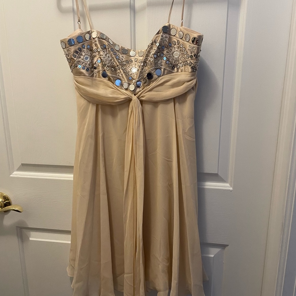 Cream, beaded BCBG MaxAzria silk dress